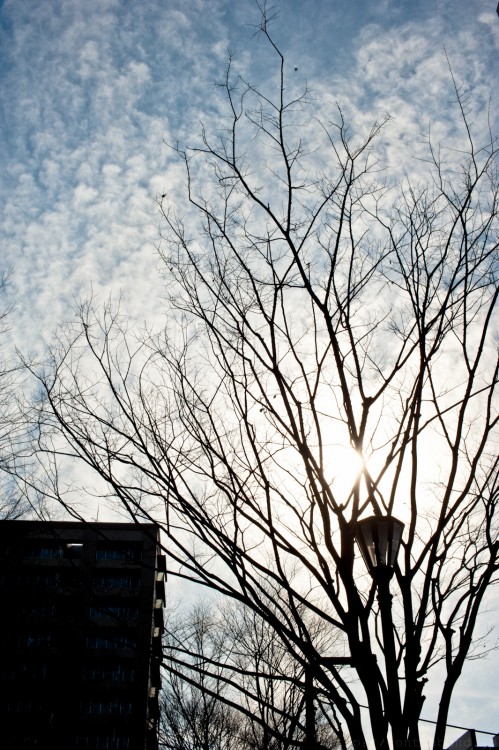 sanpo