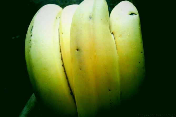 banana