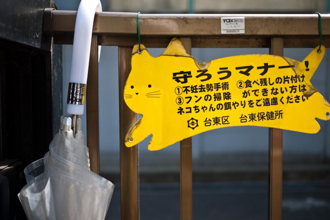 猫sanpo