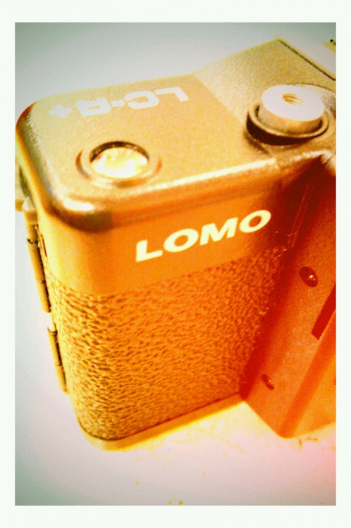 lomo