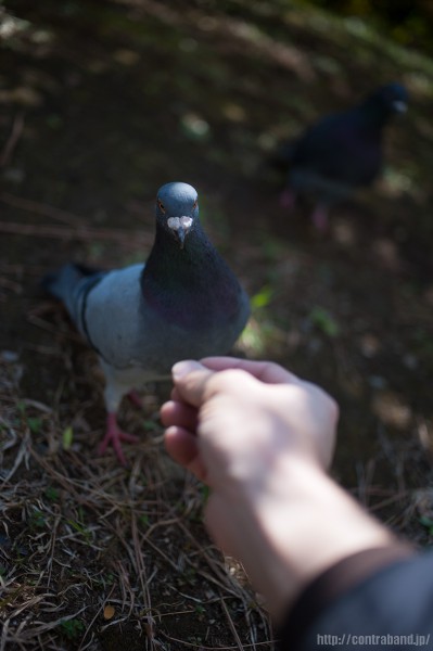 sanpo