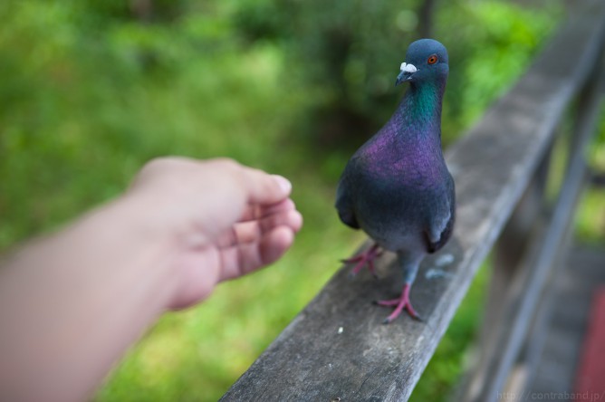 sanpo