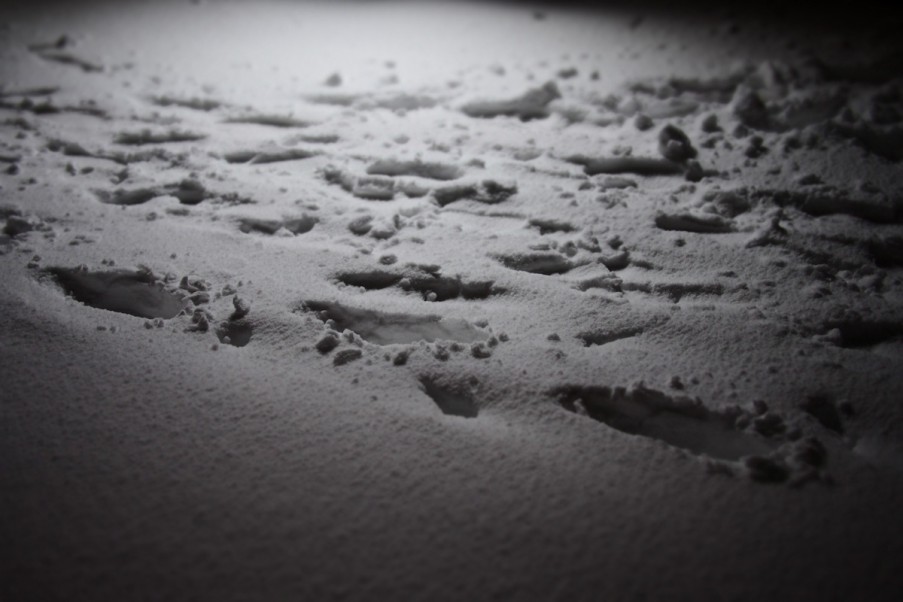 東京　雪